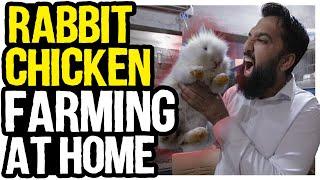 Apne Ghar ki Chatt pr Farm | Rabbit & Fancy Chicken Farming in Pakistan | Monthly income in Lakhs