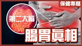 腸道細菌能控制你思想？｜腸道直接指揮大腦？｜第二大腦｜不是陰謀論｜中文字幕