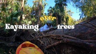 Kayaking Over Trees: Riverbend Park to Jonathan Dickinson Adventure