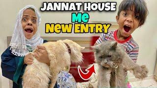 Jannat House Me New Family Member’s Ki Entry | Sanober Choti Vlog