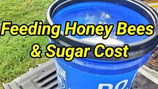 Feeding Honey Bees & Sugar Cost