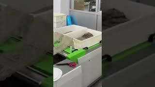 Camera Vision Auto Lace Laser Cutting