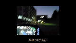 #변호사브이로그 #대학원생브이로그