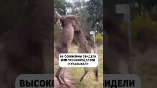#ресурсноесостояние #ресурс #самоценность #житьсвоюжизнь #бытьсобой #любитьжизнь #границыличности