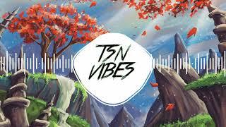 TSN Vibes - Anime Trap Music