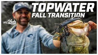 How to Catch Fall Transition Bass with Buzzbaits and Ploppers