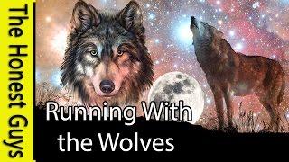 GUIDED MEDITATION STORY: Running With Wolves - Epic Meditation