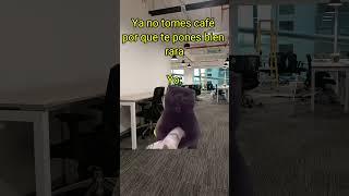 Coffee #shorts #short #coffee #shortvideo #comedia