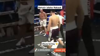 BAHODIR VS SOKOLOWSKI nakaud #bahodirjalolov #america #sports #uzbboxing #traning #maxachev #khabib