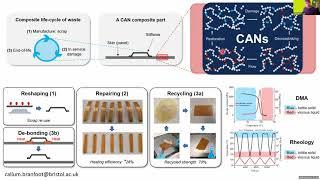 CANs: from dynamic chemistry to sustainable composites