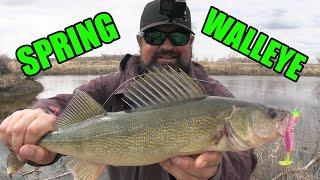 Walleye Fishing from Shore!