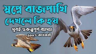 স্বপ্নে বাজপাখি দেখলে কি হয় | dreams explaination of the hawk | shopne baj pakhi dekhle ki hoy |