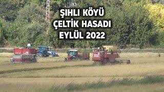 ŞIHLI KÖYÜ ÇELTİK HASADI - EYLÜL 2022