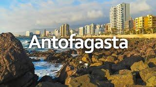 The Pearl of the North  | Antofagasta, Chile 