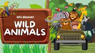 Learn About Animals | Fun Learning For Kids | Little Bright Minds