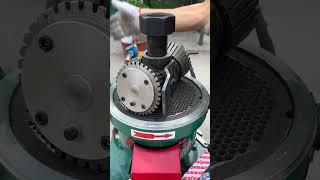 Feed Pellet Machine with Inclined Rollers for Balanced Pressure and Long-lasting Durability