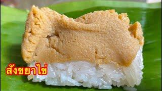 #สังขยาไข่ (เมนูสร้างอาชีพ)หอมหวาน มันอร่อย/ตามใจแม่ครัว