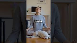 불안을 이겨내는 단 하나의 방법 2025 06 10 #지식 #마음의소리로쓰는글 #동기부여