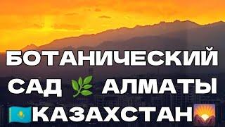 12 # Ботанический Сад  Алматы  Казахстан  Лебеди  Карпы  и деревья 