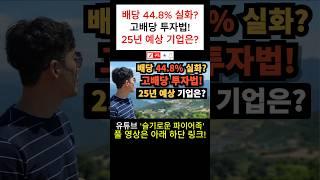 ⭐️고배당 투자법! | 배당 44.8% 실화? | 25년 예상 기업은?