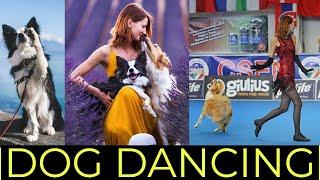 HOW TO TEACH YOUR DOG TO DANCE | DOG DANCING Q&A | YOLO PUP