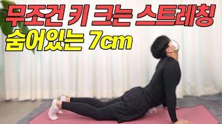 5주 안에 7cm 키크는 스트레칭! 자기 전 4가지 동작만 해보세요 Stretching if you grow 7cm in 5 weeks!