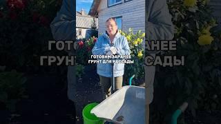 Готовим грунт для рассады и зимнего огорода