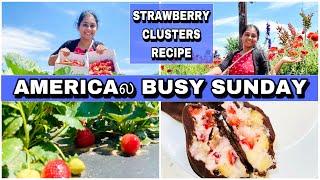 Americaல என் busy Sunday/Strawberry picking/strawberry clusters recipe/Tamil vlog USA #tamil #usa