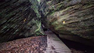 Nelson Kennedy Ledges