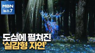 광화문에 펼쳐진 숲속 풍경…실감 콘텐츠로 만나는 자연 [MBN 뉴스7]