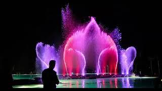 Cairns Festival Reef Lights 2024