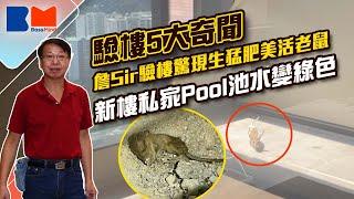 驗樓5大奇聞 詹Sir驗樓驚現生猛肥美活老鼠 新樓私家Pool池水變綠色丨#2023｜#新盤｜#開箱｜#買樓｜#驗樓｜#詹Sir｜#裝修設計｜#樓市丨#bossmind