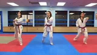 Taekwondo Basic Form 1