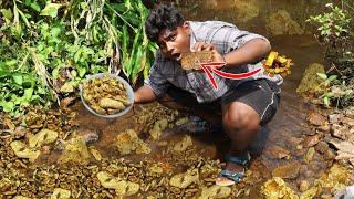 Gold Hunting|தங்க வேட்டை|இவ்ளோ தங்கமா!!|KGF Gold Hunting|Kanthalur Offroading|Village Food Safari