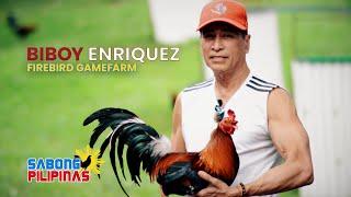 ANG PAGSISIMULA NI BIBOY ENRIQUEZ NG FIREBIRD GAMEFARM