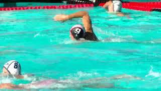 Bellarmine at Sacred Heart Prep Boys Water Polo 11.19.22