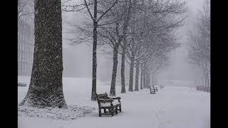 Jason McNeill - "Snow"