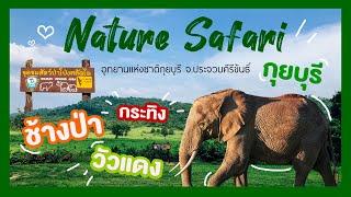 ดูช้าง อุทยานแห่งชาติกุยบุรี | วันนี้ไปjourneyมา | 29-09-62