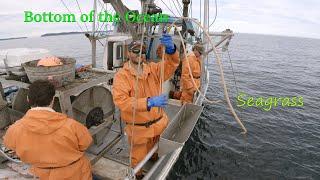 Fishing for Halibut with the Guys