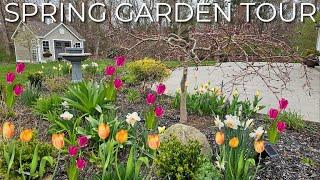 Spring Garden Tour! Everything Is Looking So Fresh & So Green Green! April 2023