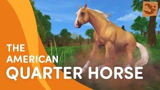 The UPDATED American Quarter Horse  | Star Stable Breeds