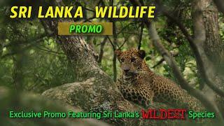 Sri Lanka Wildlife Promo | Sri Lanka Tourism (2018)