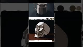 Skull still life study