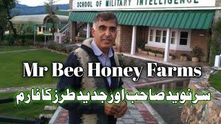 Mr Bee Honey Farm | Honey bee farming in Pakistan | Modern Bee farming | Beekeeping in urdu / hindi