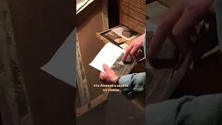 Летняя встреча в мастерской Юрия Норштейна