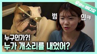 동물도 속이는 미친 클라스! 동물 성대모사의 달인┃The Best Animal Vocal Mimicry