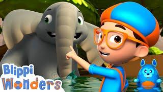 Blippi's African Elephant Adventure! - Blippi Wonders | Educational Cartoons for Kids