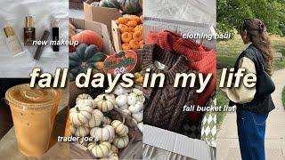 FALL VLOG  fall shopping, clothing haul, pumpkins, fall bucket list, trader joes, & more! 2024