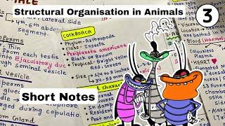 Structural organisation in Animals | Cockroach | Short Notes | NEET 2025