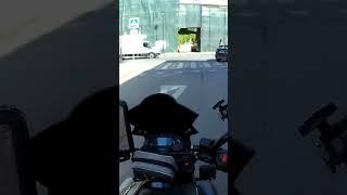 Вдруг, откуда ни возьмись, появился...